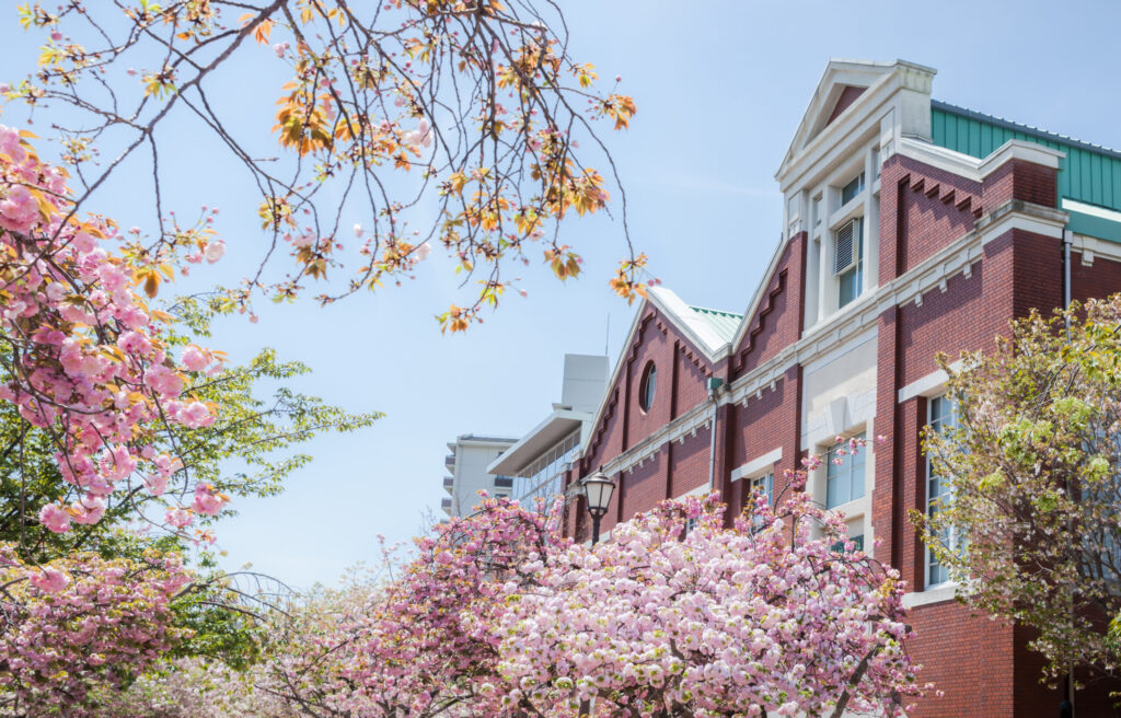 University Dormitories in Japan: What to Expect and How to Apply mint museum with cherry blossoms osaka japan 2026 03 13 01 56 37 utc